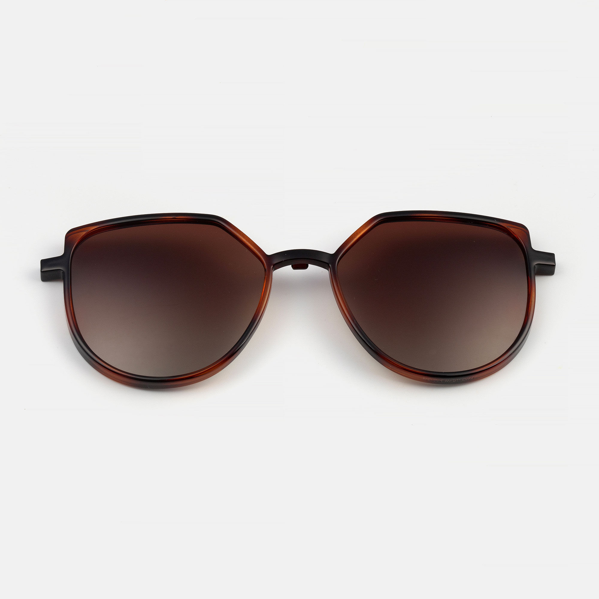 CLIP-ON 0539M CARNABY-ON CAREY/GOLD 50/18